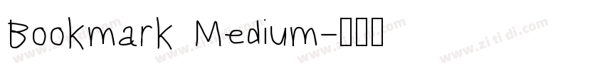 Bookmark Medium字体转换